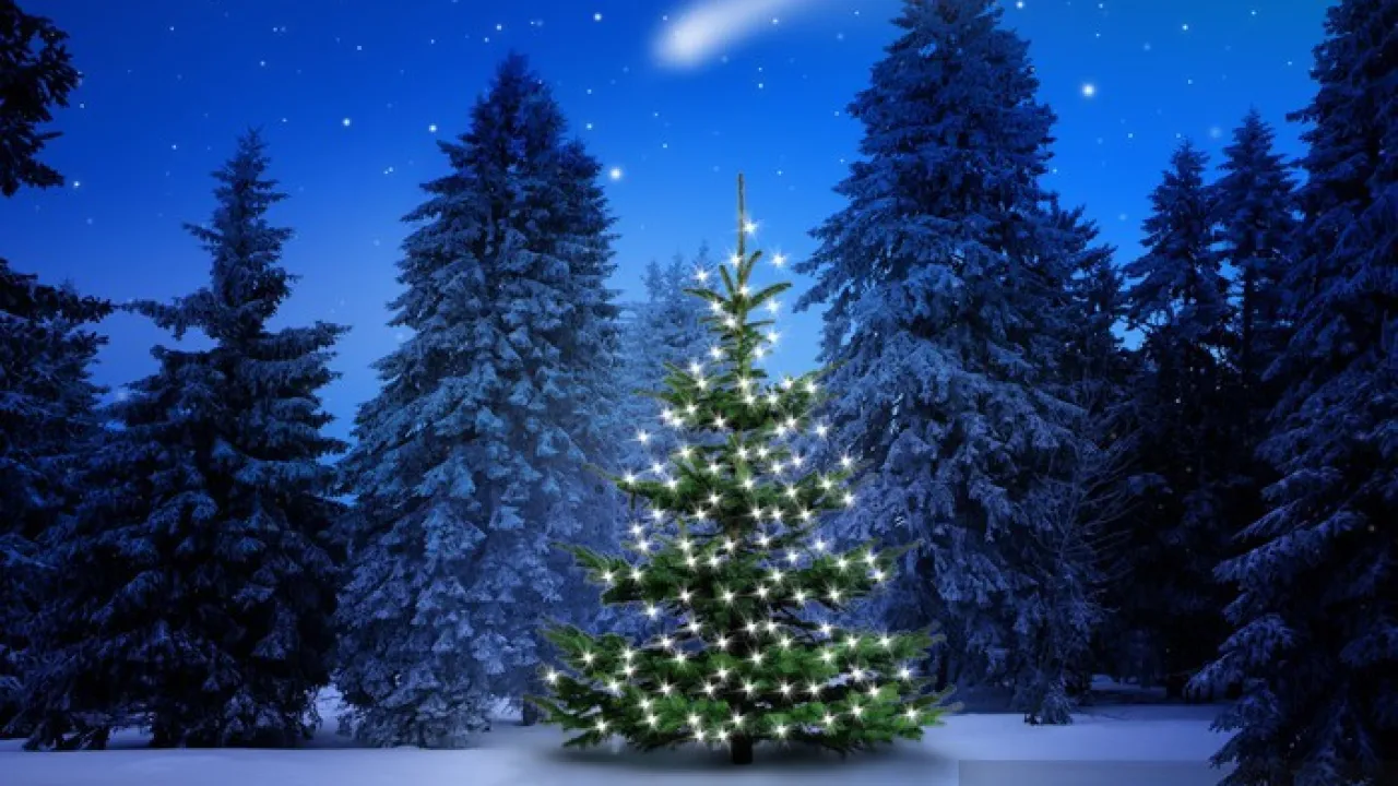 Przerwa świąteczno-noworoczna