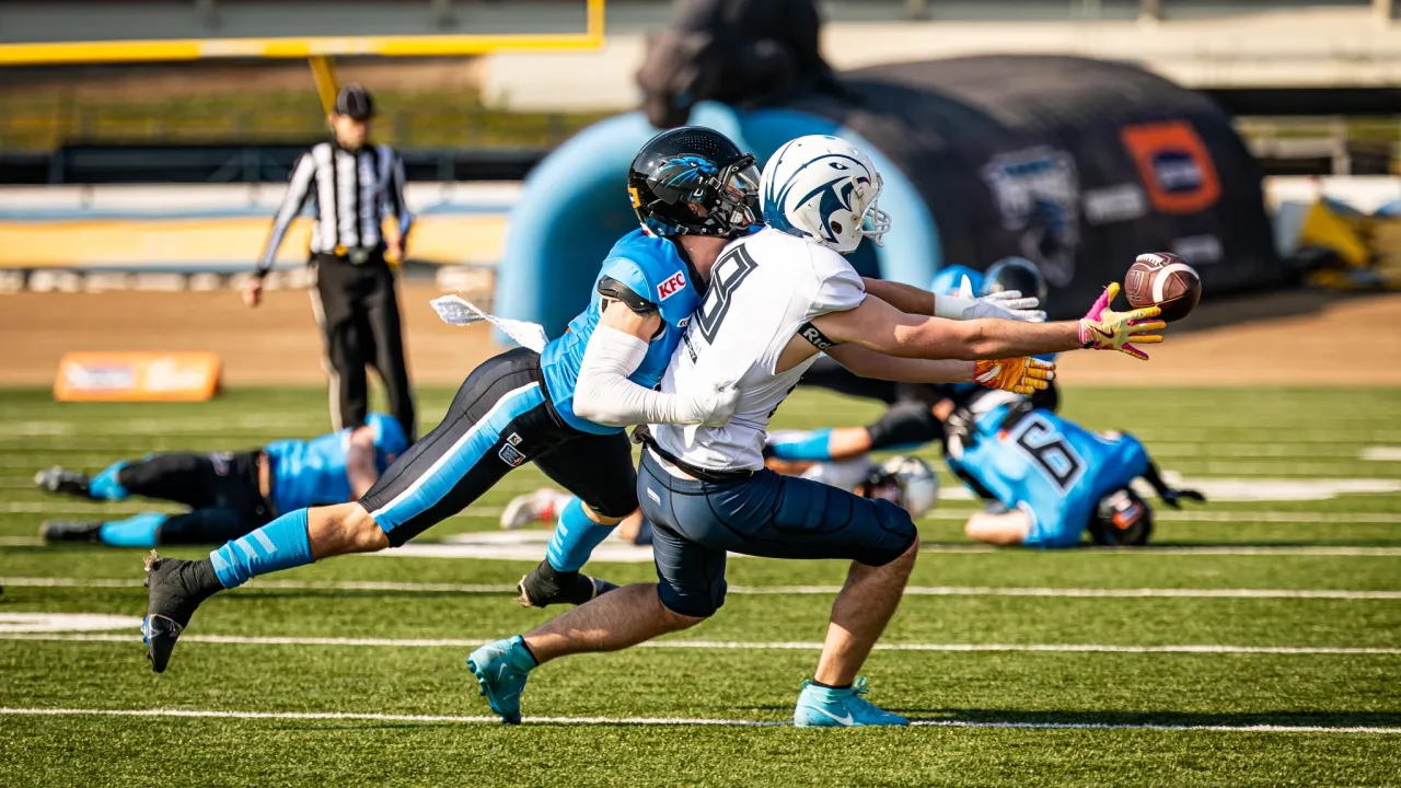 Juniors to face Tychy Falcons on the road!