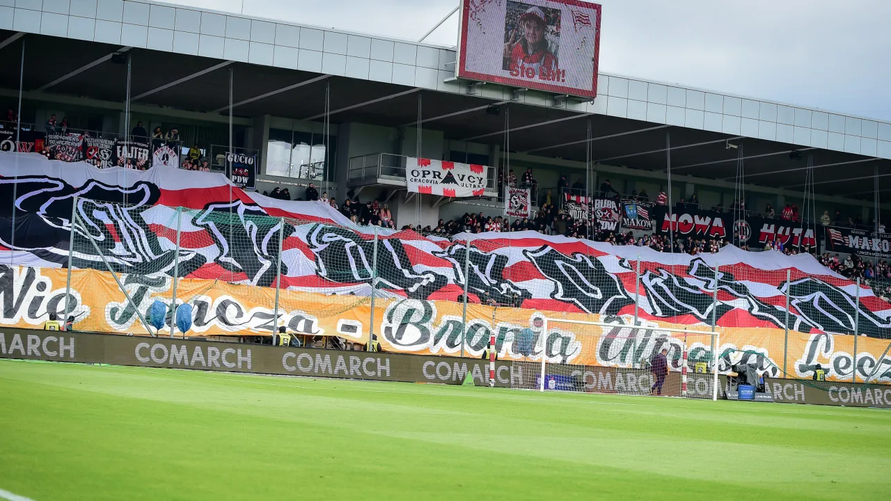 Słonie przy Kałuży w poniedziałek. Znamy terminarz pierwszego domowego meczu nowego sezonu