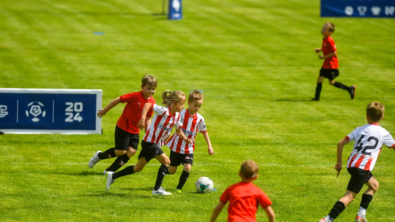 Pobierz Pasiasty Plan Lekcji!