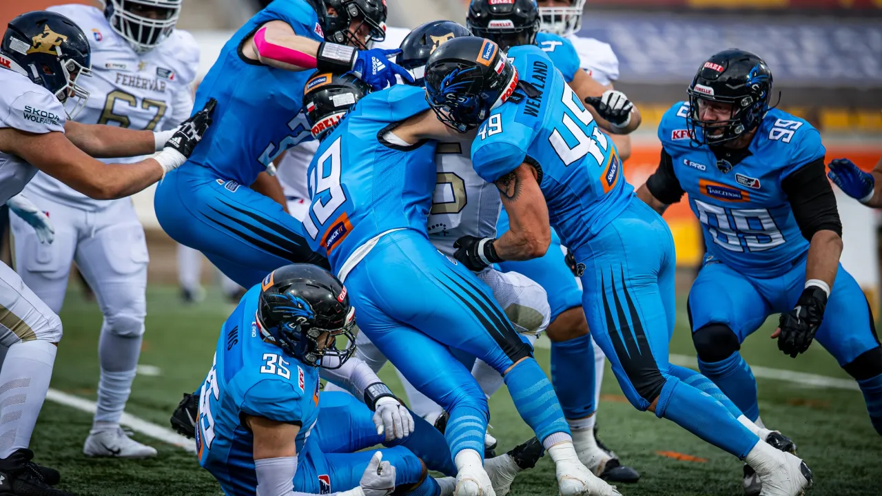 Panthers Wrocław dołącza do nowej Ligii AFLE!